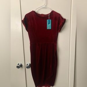 New dress from Amazon, velvet feel, stretchy.